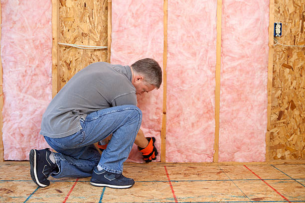 Best Attic Insulation Installation  in Chatham, VA